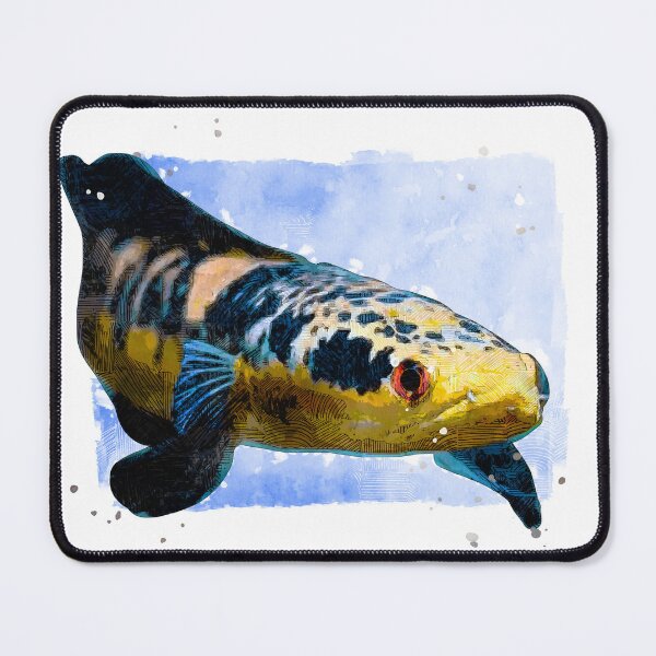 Item preview, Channa fish Vectorish designed and sold by Mercixai.