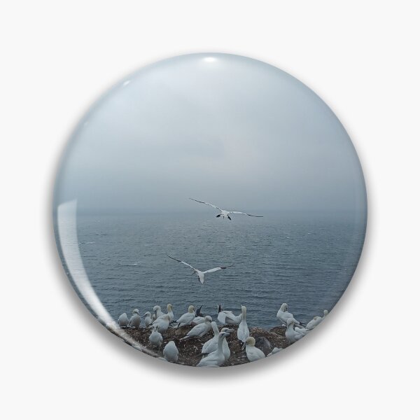 Item preview, Gannet Helgoland designed and sold by gesa118.
