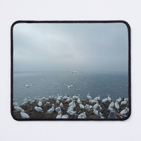 Item preview, Gannet Helgoland designed and sold by gesa118.