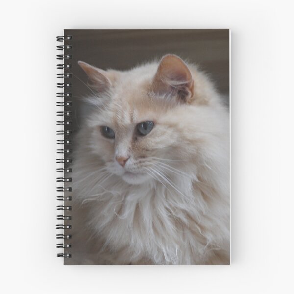 Item preview, Pretty Cat, Fancy Cat designed and sold by roseinthewoods.