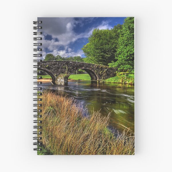 Item preview, Two Bridges and West Dart River  designed and sold by galpinimages.