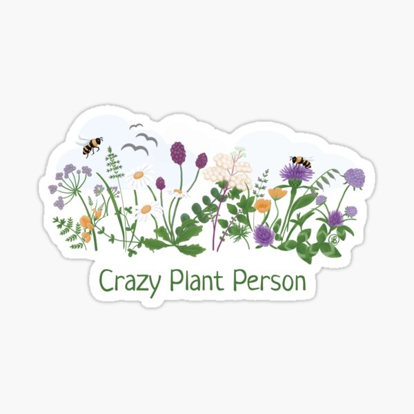 Crazy Plant Person, meadow flowers on turquoise Sticker