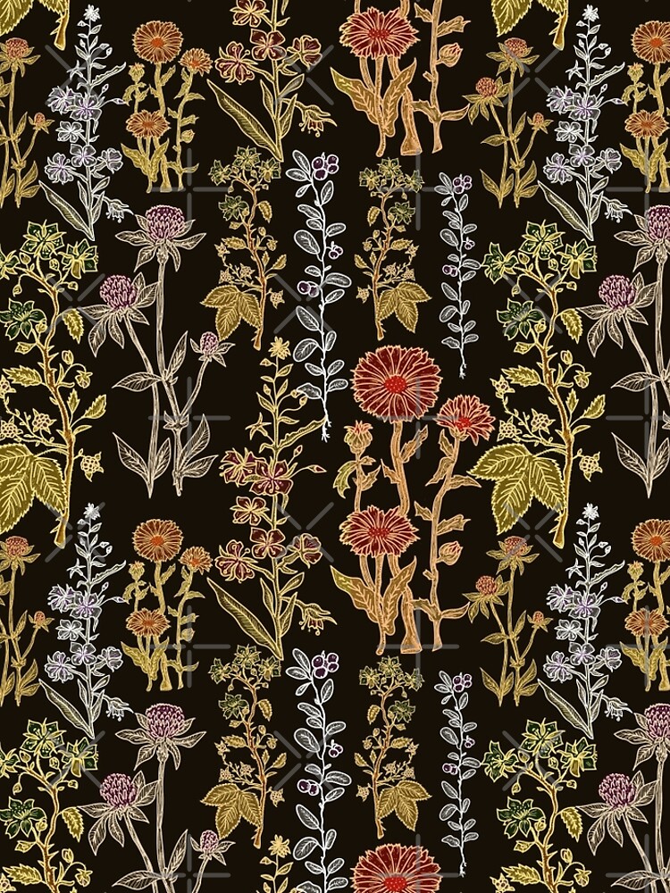 Plants on black by intueri
