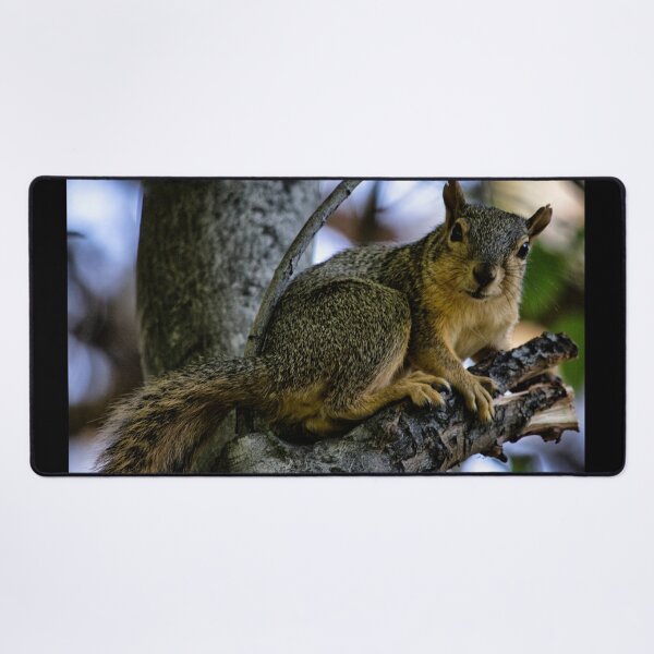Item preview, Gray Squirrel designed and sold by MoreGoodArt.