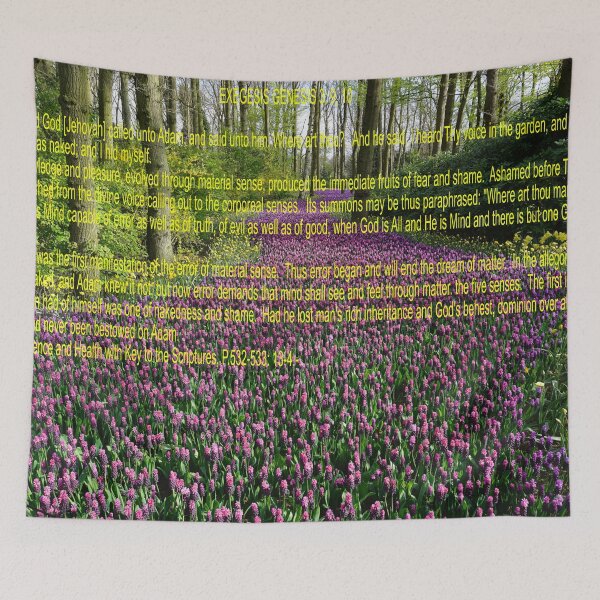 Item preview, Genesis 3: 9, 10  MBE Art designed and sold by Alicefish.