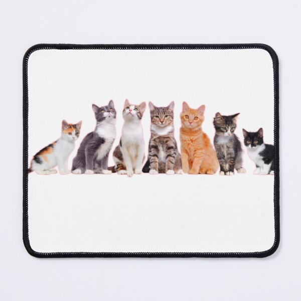 Item preview, FUNNY CATS AND KITTEN COLLECTION designed and sold by vazqpete.