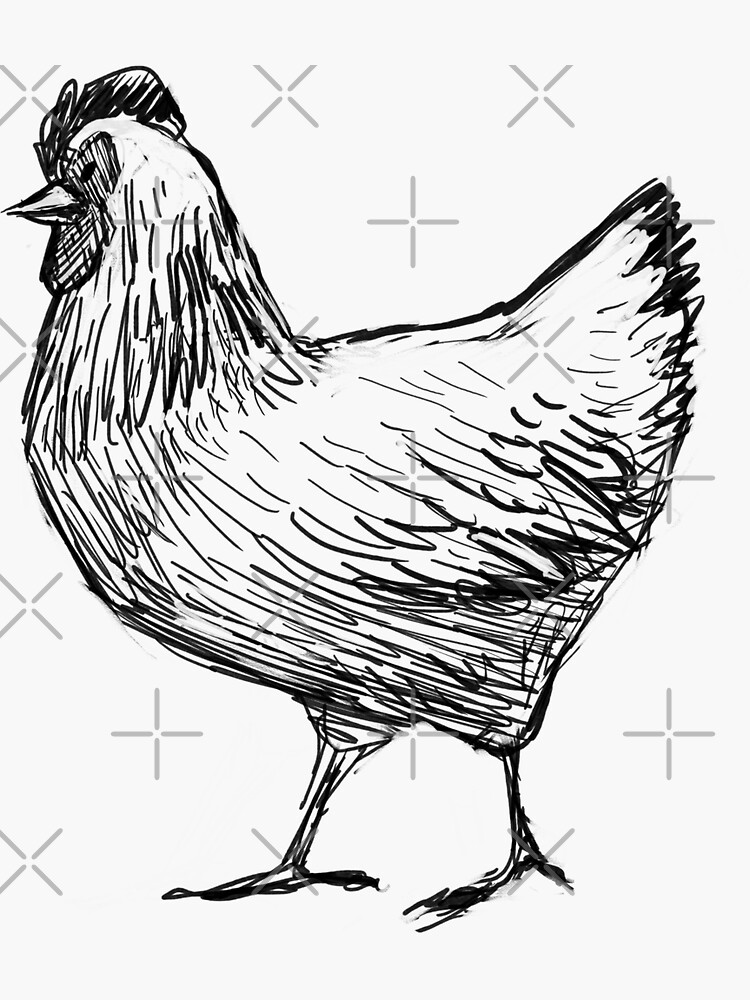 Black And White Chicken Sketch Sticker By Brigidmalloy Redbubble 