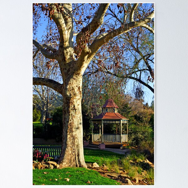 Item preview, Wagga Wagga Botanic Gardens designed and sold by Darren Stones.