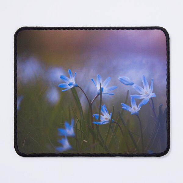 Item preview, Blue Glory of the Snow welcoming spring designed and sold by studio-nie.