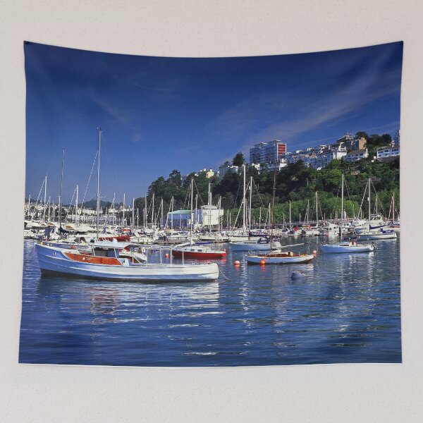 Item preview, Torquay Harbour designed and sold by galpinimages.