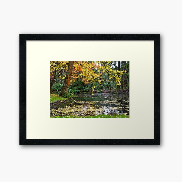 Item preview, Autumn #2, Alfred Nicholas Memorial Gardens, Victoria, Australia designed and sold by johnrf.