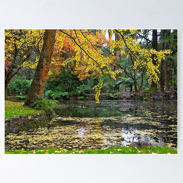 Item preview, Autumn #2, Alfred Nicholas Memorial Gardens, Victoria, Australia designed and sold by johnrf.