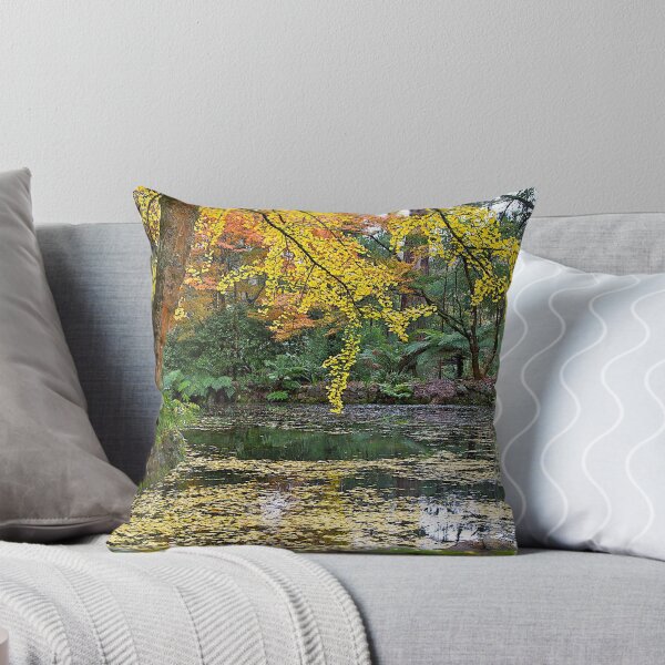 Item preview, Autumn #2, Alfred Nicholas Memorial Gardens, Victoria, Australia designed and sold by johnrf.
