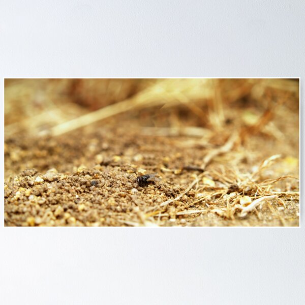 Item preview, Digging in the Dirt designed and sold by Craig Shillington.