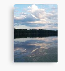 Nature’s Detail Canvas Print