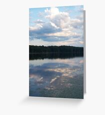 Nature’s Detail Greeting Card