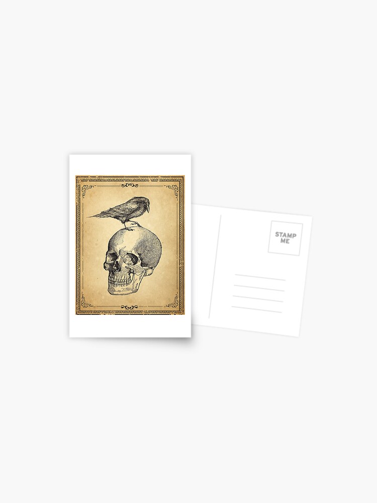 Dark Academia Aesthetic Hardcover Notebook, Moody Vintage Botanical Skull  Lined Journal -  Norway