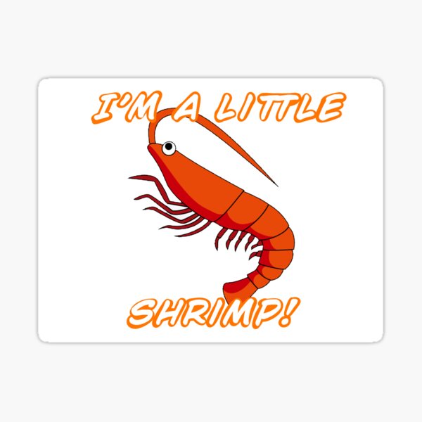 Shrimp Stickers Stanley Mini