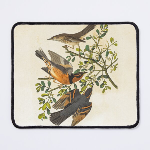Item preview, Vintage painted bird design designed and sold by CTWDesigns.