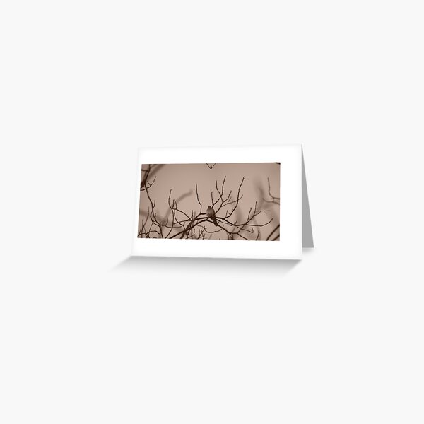 Wôrmth Greeting Card