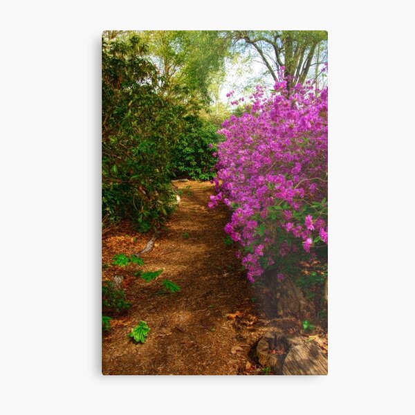 Spring Blooms Metal Print