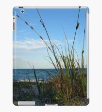 Dune Grass iPad Case/Skin