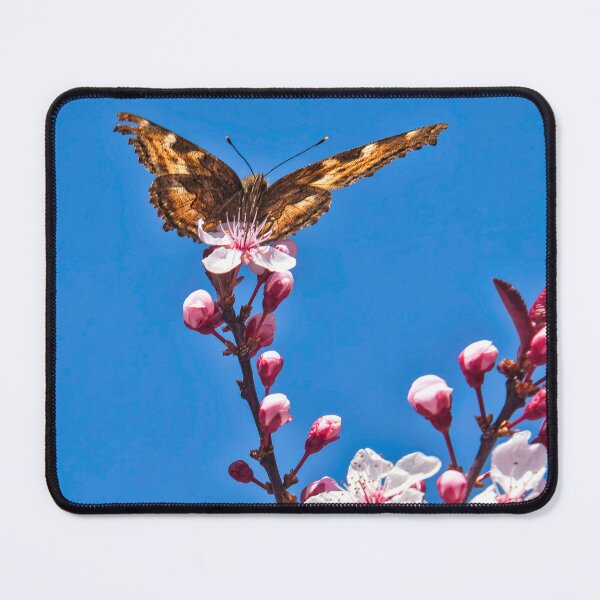 Item preview, Cherry Blossoms, Butterfly, Blue Sky, Canvas, by DAM Creative, designed and sold by DAM Creative ⭐⭐⭐⭐⭐.