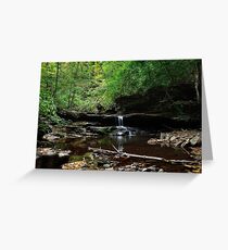 Kitchen Creek Greeting Card