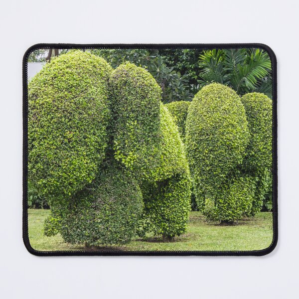 Item preview, Topiary elephants, Hua Hin , Thailand designed and sold by Kevin Hellon.