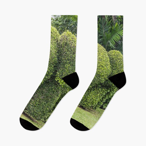 Item preview, Topiary elephants, Hua Hin , Thailand designed and sold by Kevin Hellon.