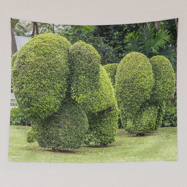 Item preview, Topiary elephants, Hua Hin , Thailand designed and sold by Kevin Hellon.