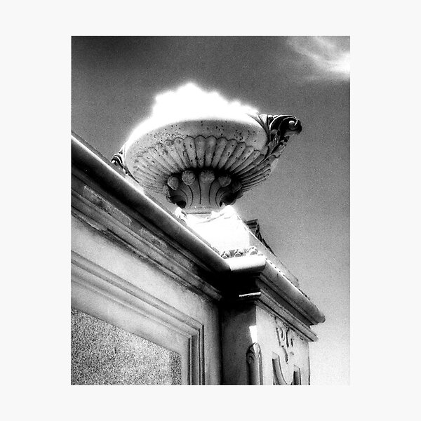 Surreal Planter Photographic Print