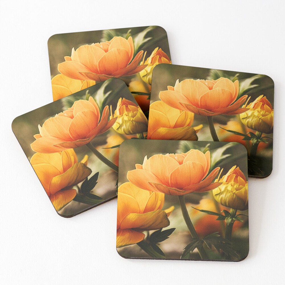 Item preview, Coasters (Set of 4) designed and sold by tedfydesign.