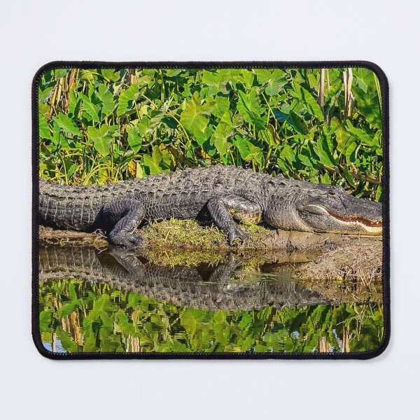 Item preview, Smiling Gator designed and sold by Susan Rydberg.