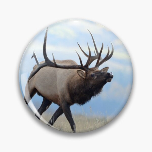 Item preview, Montana- Bull Elk designed and sold by Whisperingpeaks.