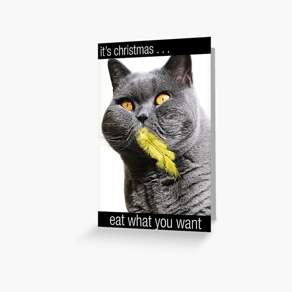 it's christmas Greeting Card