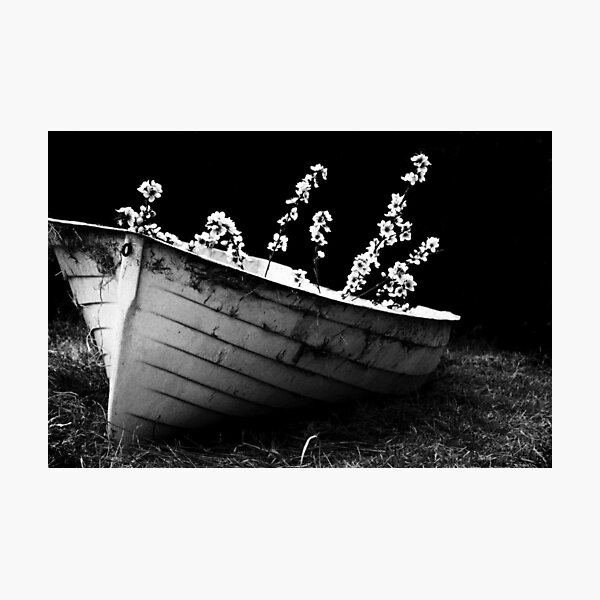 Bail Me Out Photographic Print