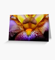 Inside An Iris Greeting Card