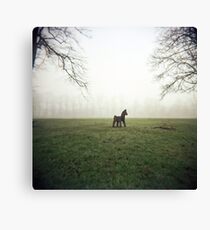 Horse Canvas Print