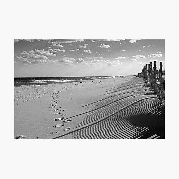 Shadows in the Sand Photographic Print
