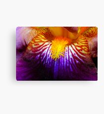 Inside An Iris 2 Canvas Print