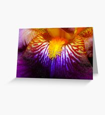 Inside An Iris 2 Greeting Card