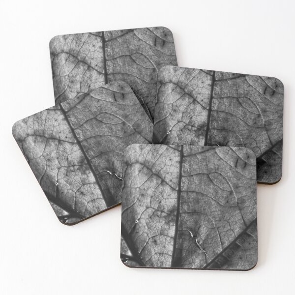 Item preview, Autumn Leaf in B&W (6) designed and sold by Wolf Sverak Photography.
