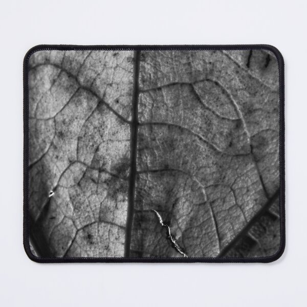 Item preview, Autumn Leaf in B&W (6) designed and sold by Wolf Sverak Photography.