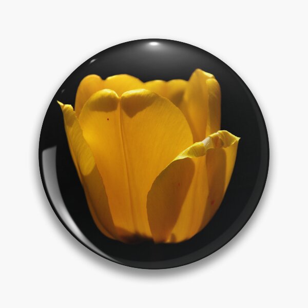 Item preview, Sun Cup designed and sold by Lois  Bryan.