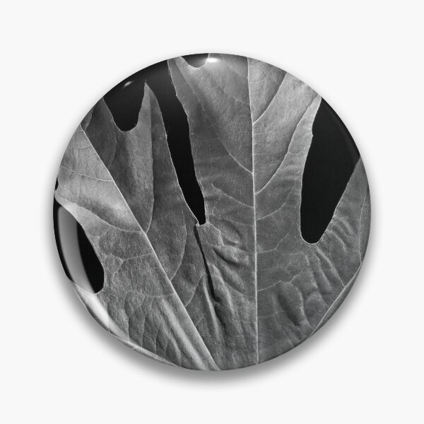 Item preview, Autumn Leaf in B&W (7) designed and sold by Wolf Sverak Photography.
