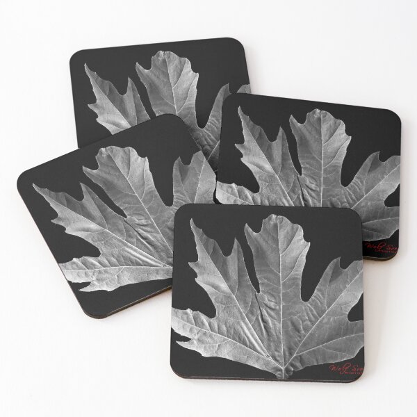 Item preview, Autumn Leaf in B&W (7) designed and sold by Wolf Sverak Photography.