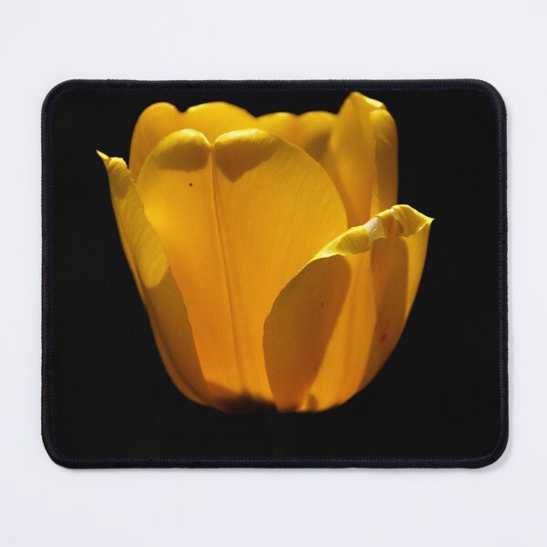 Item preview, Sun Cup designed and sold by Lois Bryan.