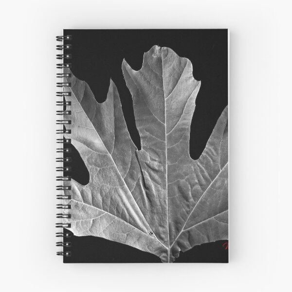 Item preview, Autumn Leaf in B&W (7) designed and sold by Wolf Sverak Photography.