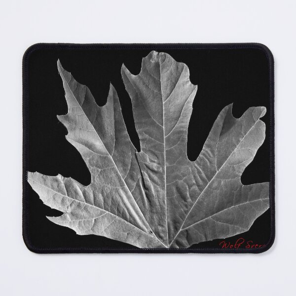 Item preview, Autumn Leaf in B&W (7) designed and sold by Wolf Sverak Photography.